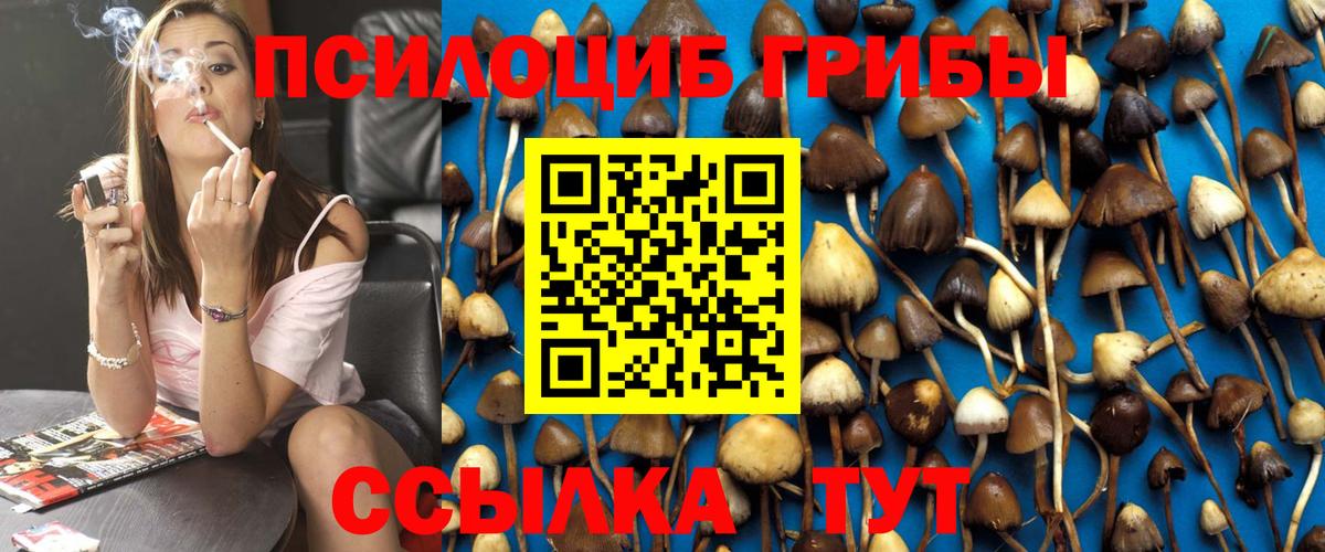 Псилоцибиновые грибы прущие грибы  Вход с VPN  Киров 